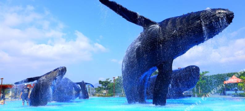 屏东国立海洋生物博物馆图片