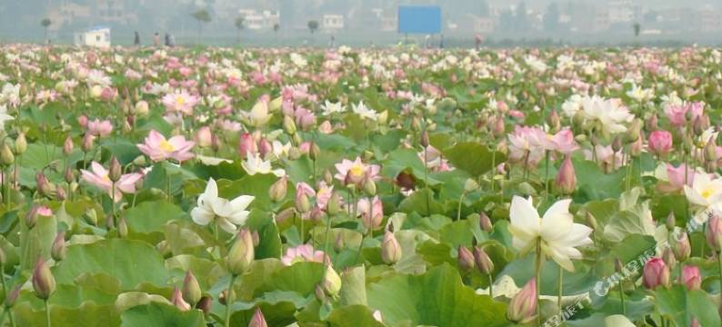 昭通璐琪宾馆图片