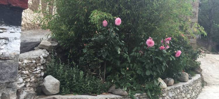 丹巴嘉绒之家民居客栈图片