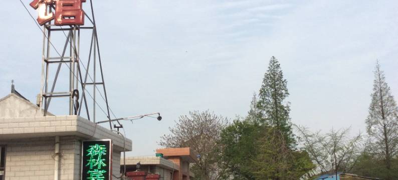 泰兴森林宾馆图片