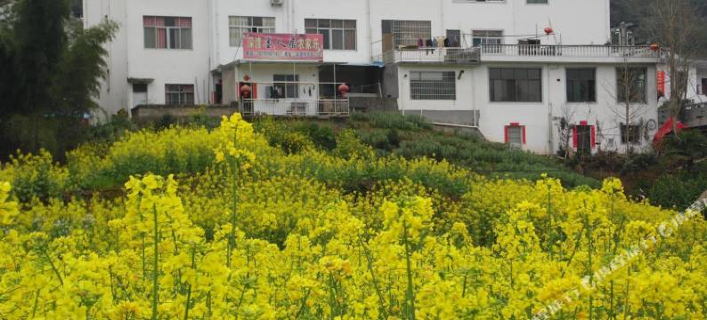 歙县深渡墨人居农家乐客栈图片