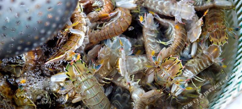 东戴河三只熊酒店式公寓图片