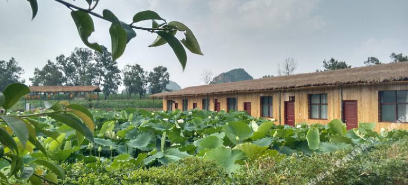 普者黑原始部落·荷篱茅舍图片