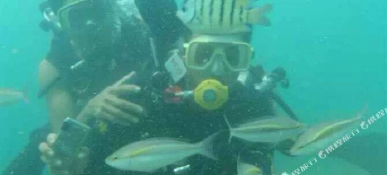 涠洲岛贝壳沙滩滨海海景木屋图片