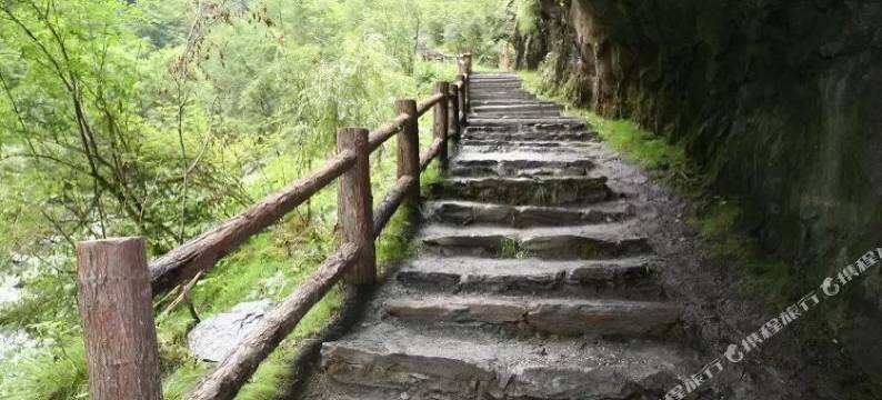 汶川卧龙客栈图片