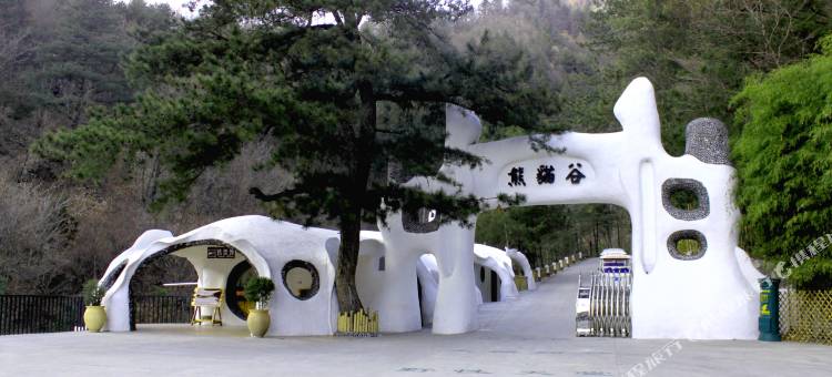 佛坪熊猫森林酒店图片