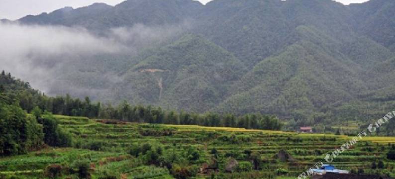 老潘家饭店图片