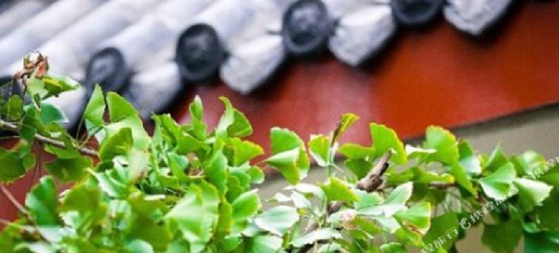 街子古镇古月人家客栈图片