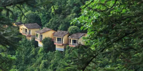 丫山旅遊度假區-九成山舍別墅酒店
