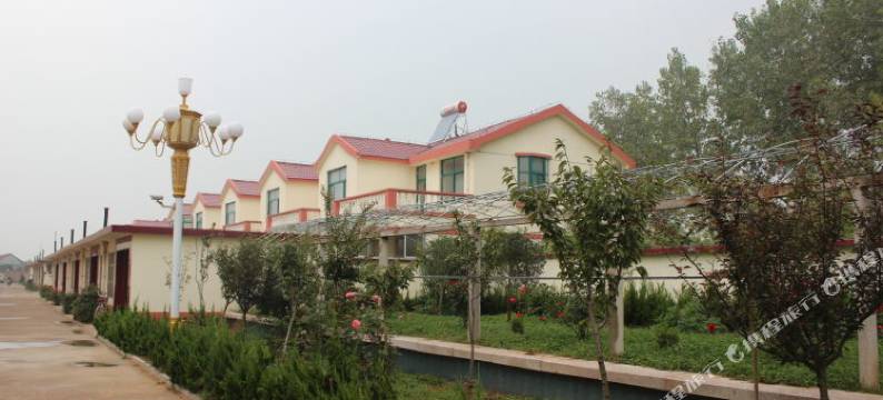 紫辰自助民宿(日照万宝滨海风景区店)图片