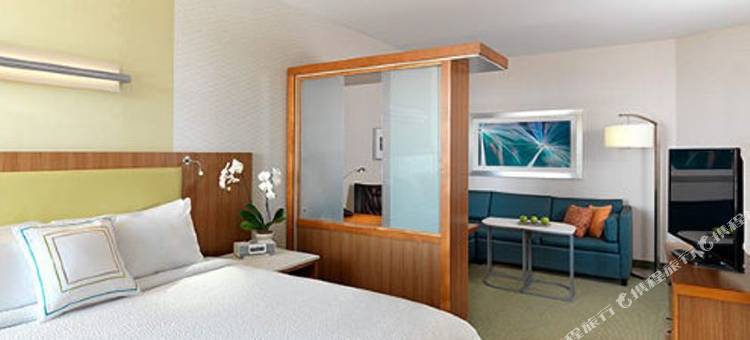圣何塞机场SpringHill Suites酒店(SpringHill Suites San Jose Airport)图片
