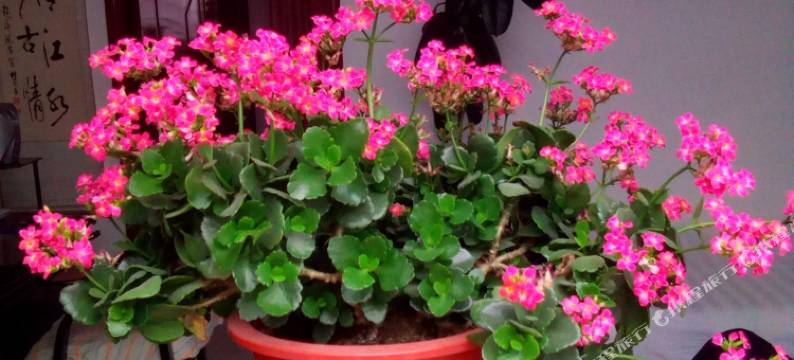 灵石清雅住宿图片