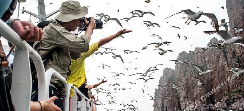 长岛杨艳渔家乐图片