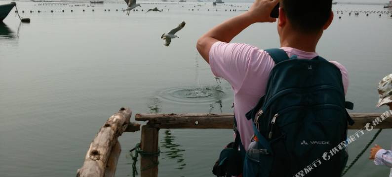 长岛众鑫渔家图片
