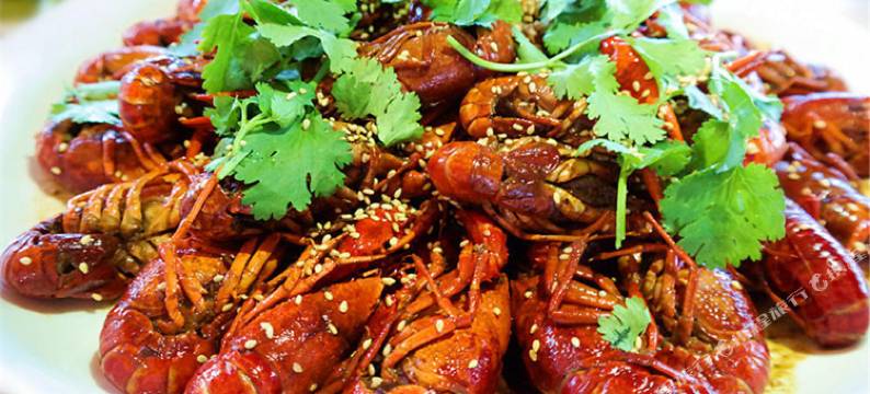 临海蜂巢网房车宿营地图片