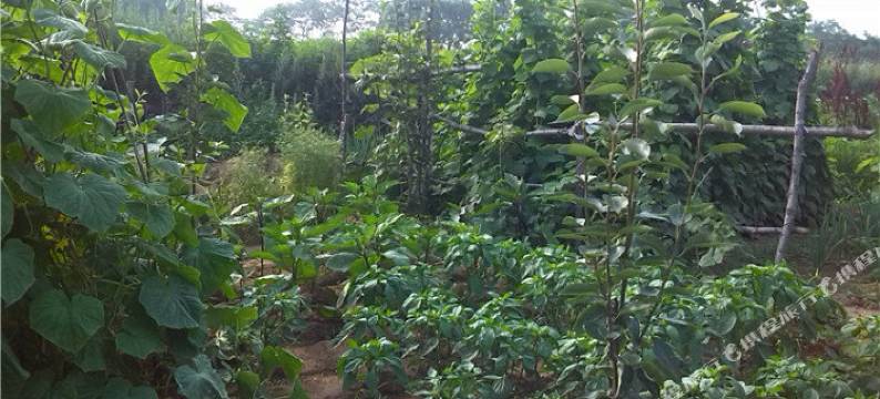 觉华岛渔家旺家庭宾馆图片