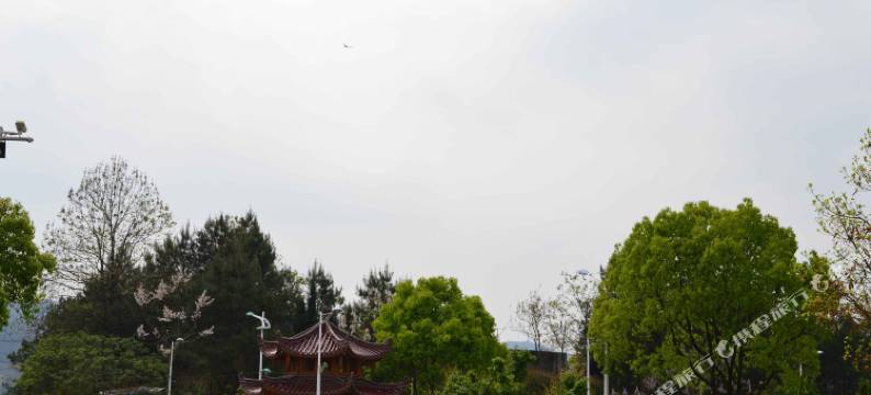 武夷山福泰源民宿图片