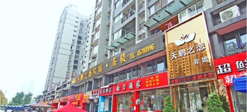 重庆天鹅之恋宾馆图片