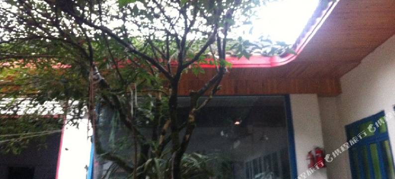 大邑茶园农庄图片