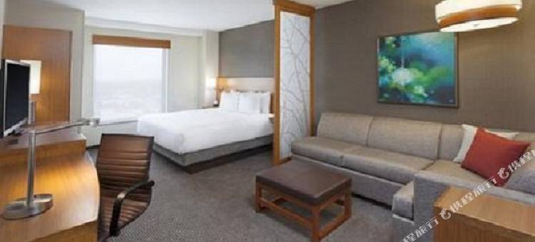 凯悦嘉轩酒店-芝加哥南大学医学中心(Hyatt Place Chicago-South/University Medical Center)图片