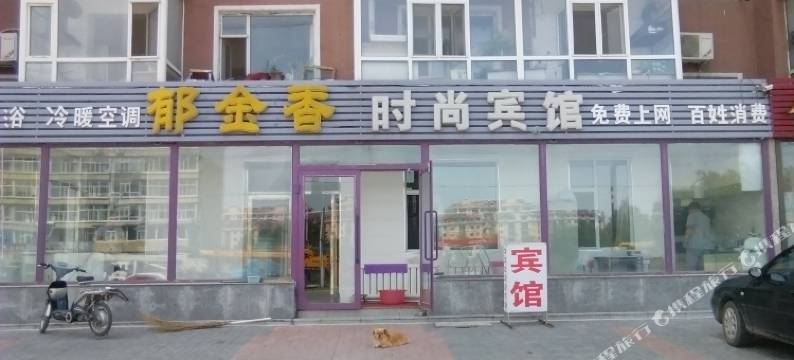 白城郁金香时尚宾馆图片