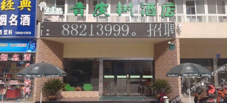 青皮树酒店(泰州姜堰汽车客运站东方巴黎城店)图片