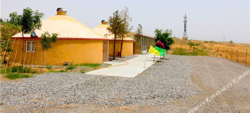 中卫沙观生态园图片