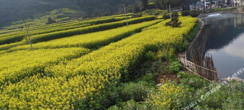 歙县深渡墨人居农家乐客栈图片