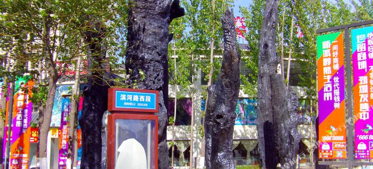 剑阁卧龙居温泉酒店图片