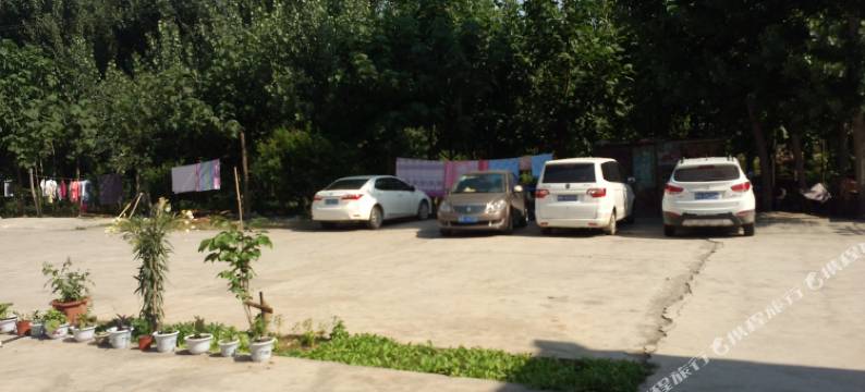 修武喜客来宾馆图片