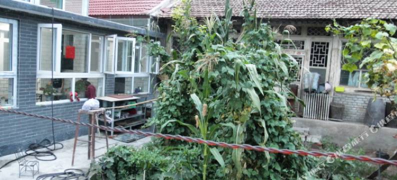 北京魁星高照农家乐图片