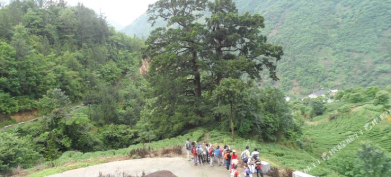 神农架姊妹园度假休闲农庄图片