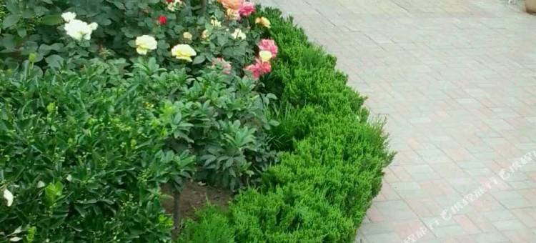 青岛爱客家旅馆图片