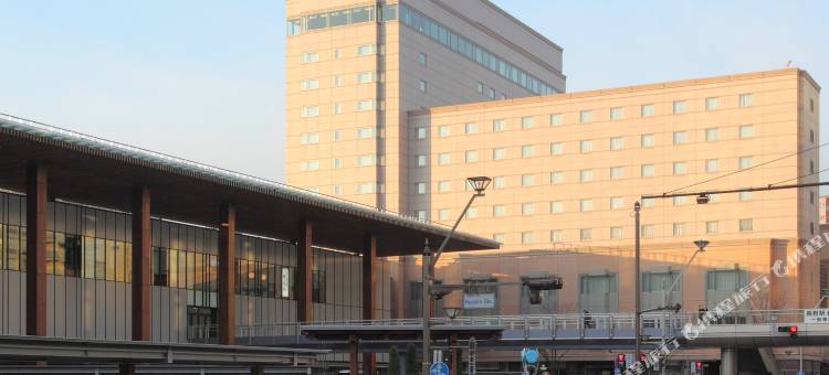 JR东日本大都会大饭店长野(Hotel Metropolitan Nagano)图片