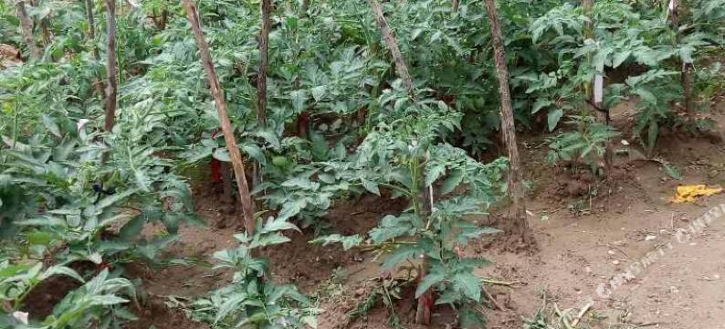 灵石大清庄生态酒店图片