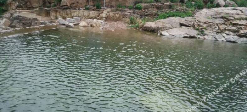 崂山世源农家宴图片