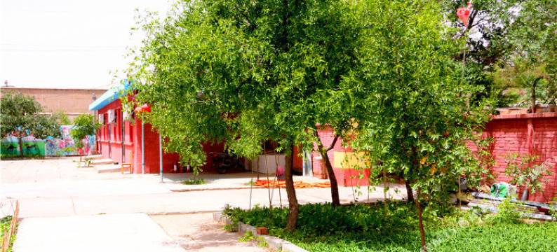 中卫沙观生态园图片