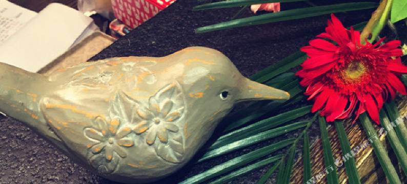 嵊泗懒懒堂民宿图片