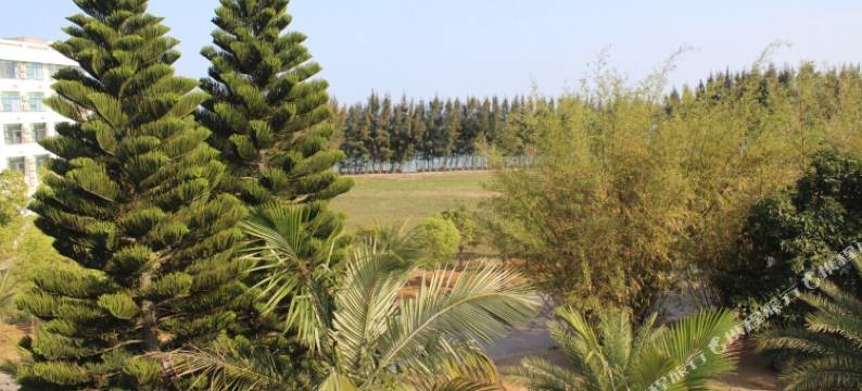 东山蝶美游(临海别墅店)图片