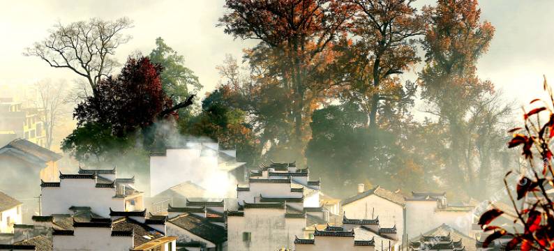 婺源石城古树农庄图片