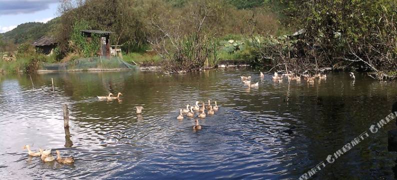 腾冲和顺古镇观湖楼民居图片