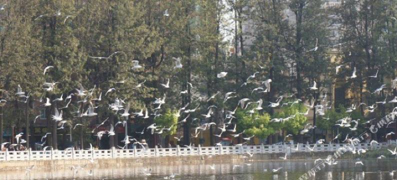 迎客酒店(昆明同德广场翠湖公园店)图片