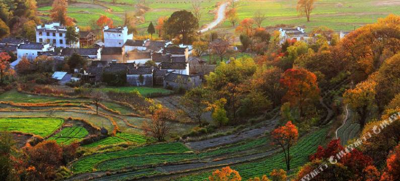宏村塔川悠然一叶客栈图片