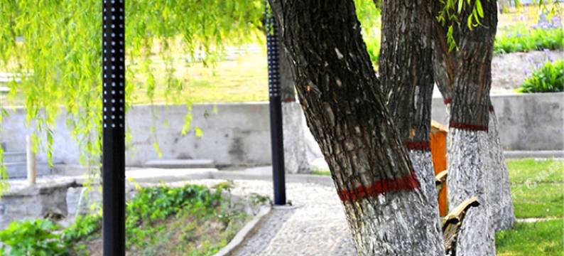 三门峡大鹏酒店(天鹅湖店)图片