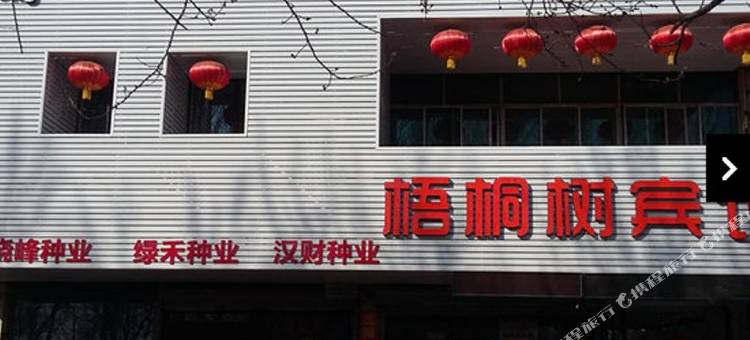 沈阳梧桐树主题宾馆图片