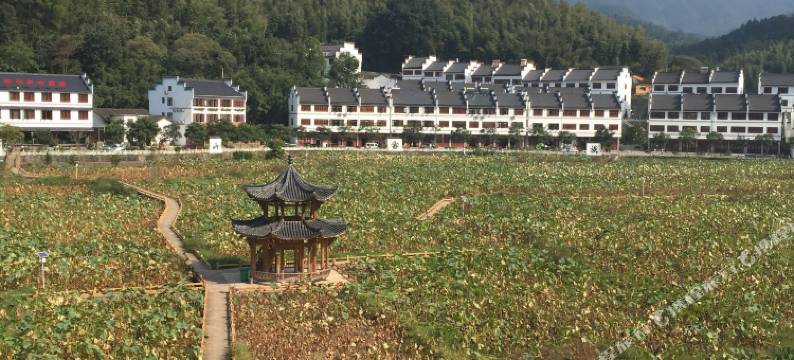 丽水莲运来民居图片