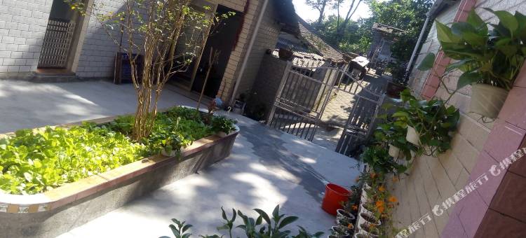 张家界永定映山红客栈图片