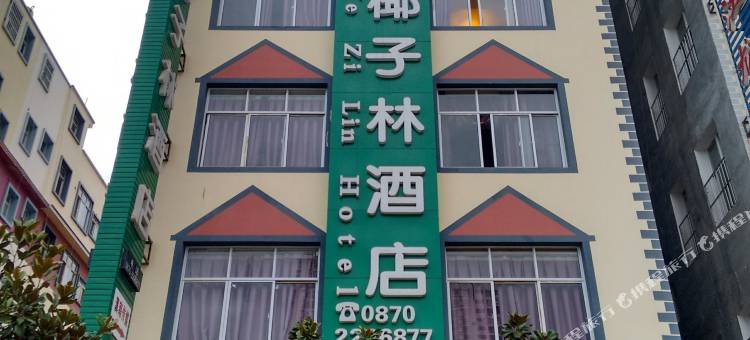 昭通椰子林酒店图片