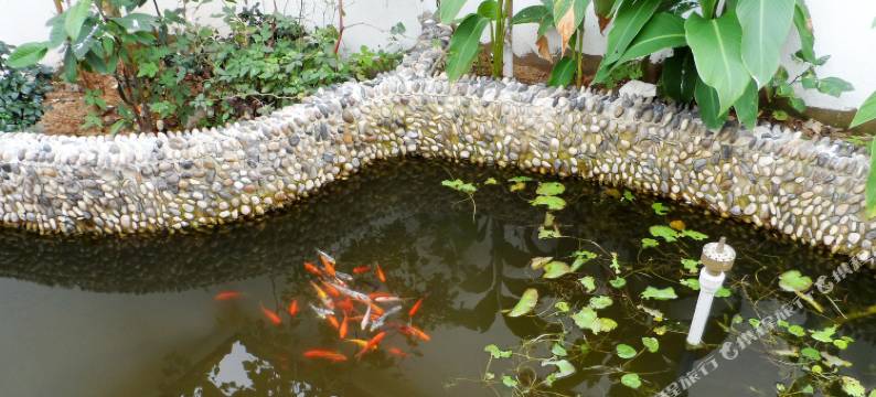 苏州桃花源客栈图片