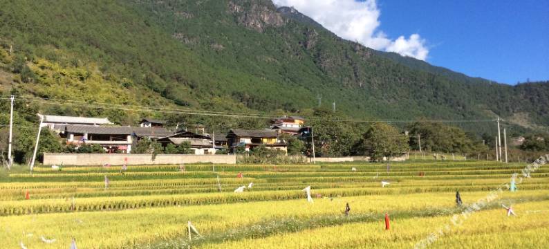 德钦迁喜酒楼图片